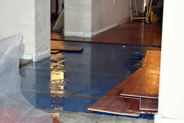 Professional Sewage Cleanup technician working in Fate, TX